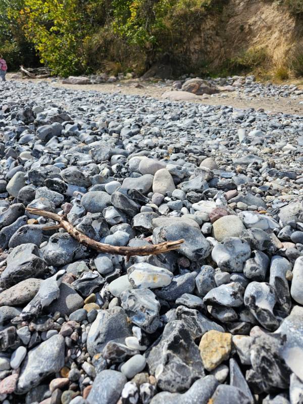 Herzlich Willkommen Herzlich Willkommen