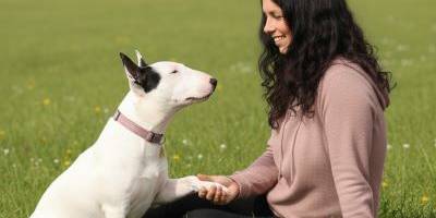 Canepädagogik Canepädagogik